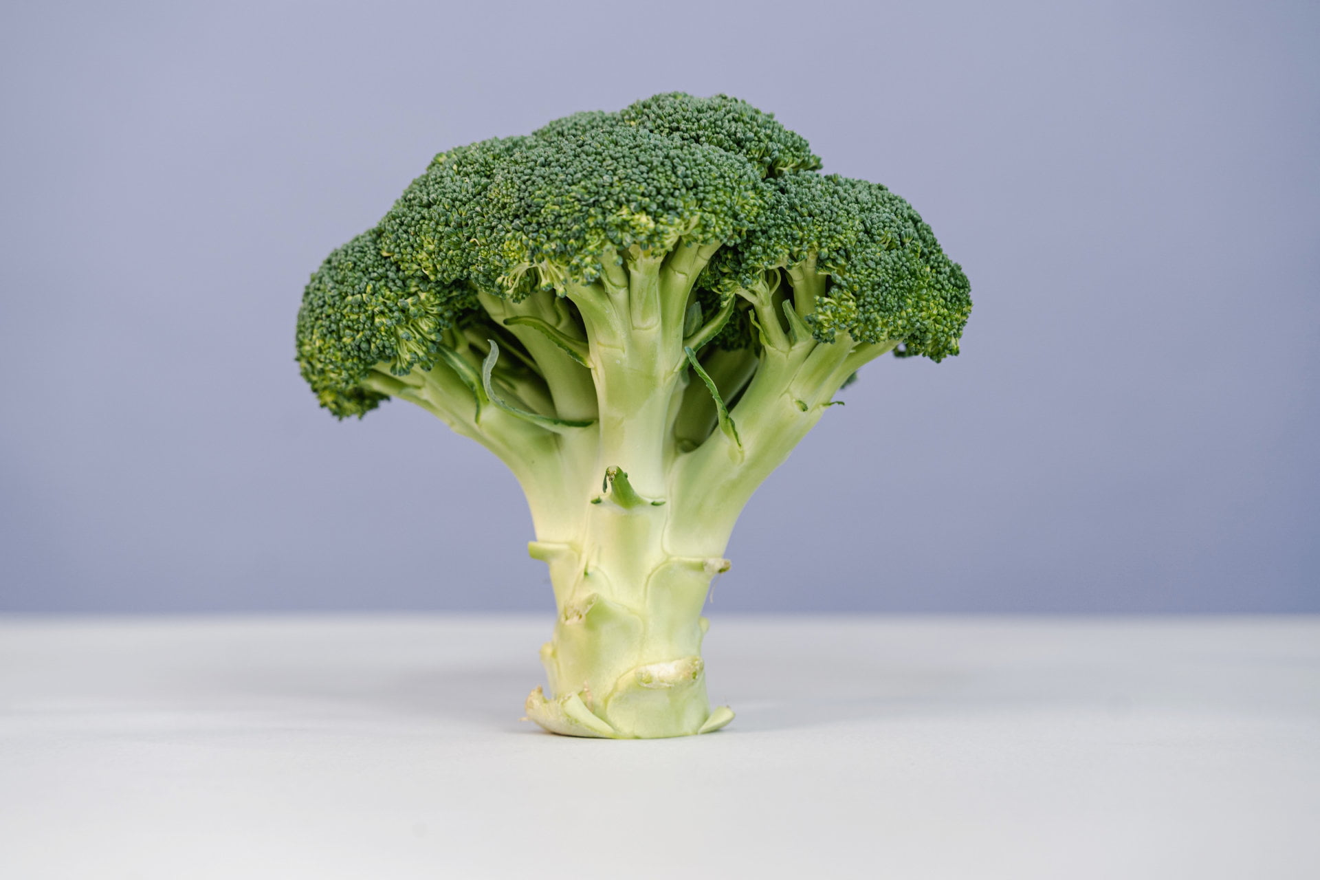 Why Broccoli Should Be a Staple in Your Diet - Live Well Diary