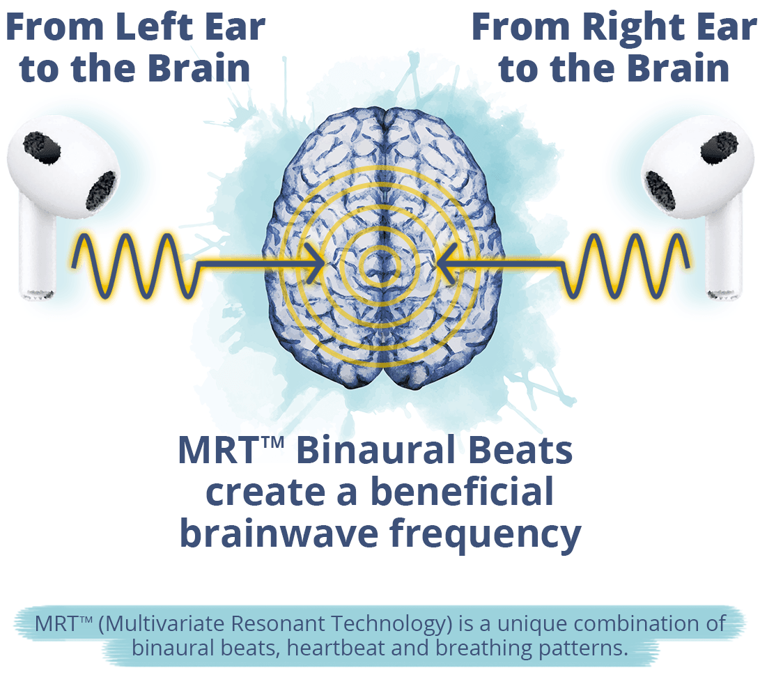 how-zen-works how zen works